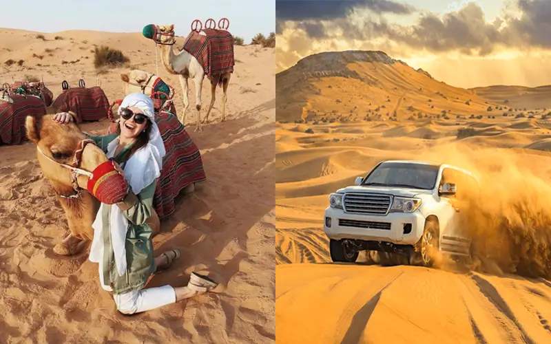 Desert Safari and Dune Bashing